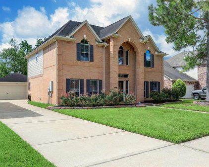 2434 Kilgarney Keep Street, Dickinson