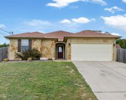 714 Newport Dr, Spicewood image