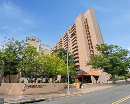 1301 N Courthouse Rd Unit #907, Arlington