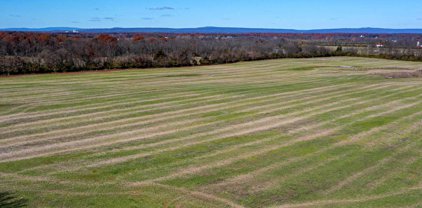 Longmarsh Road, Berryville