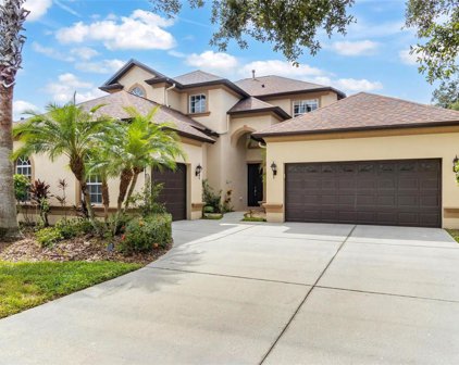 20404 Walnut Grove Lane, Tampa