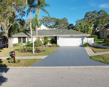 1981 Castille Drive, Dunedin