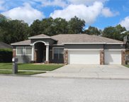 14904 Devonshire Woods Place, Tampa image