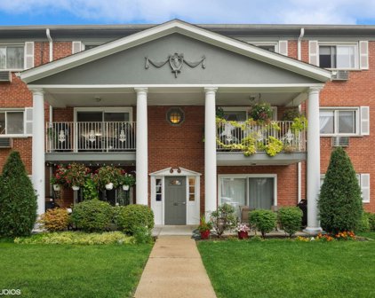 102 E Lillian Avenue Unit #2B, Arlington Heights