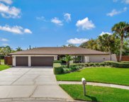 13910 Pepperrell Drive, Tampa image