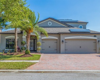 1846 Cameron Court, Trinity