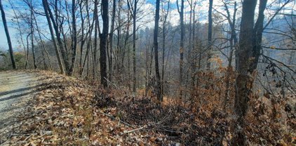 lot 1 Ivy Way, Sevierville
