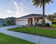 19531 Sunset Bay Drive, Land O' Lakes image