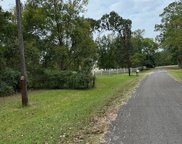 Reeves Cemetery Road, Old River-Winfree image