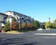 48 Cooper Memorial Drive Unit #116, Lincoln image