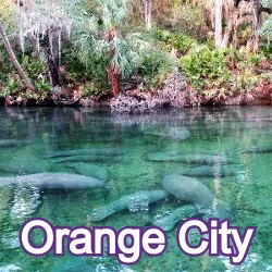 Orange City Florida Homes for Sale