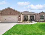 1669 Harbor Springs  Drive, Frisco image