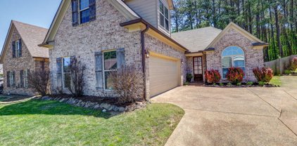 5798 W Bedford Loop, Southaven