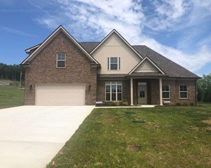 1450 Millstone Creek Rd, Lascassas