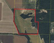 143.30 acres Greene 602, Paragould image