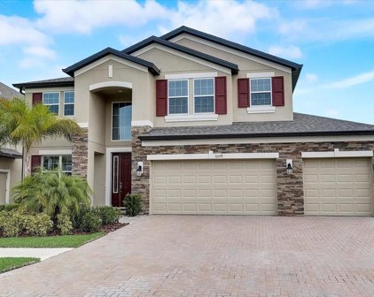 11078 Sundrift Drive, Tampa