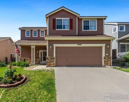 4936 Stoneham Ave, Castle Rock