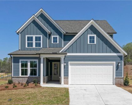 807 Levi Farms Lane, Holly Springs