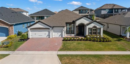 17337 Hickory Wind, Clermont