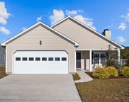 204 Red Carnation Drive, Holly Ridge image