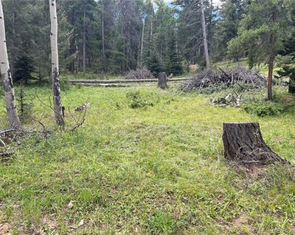 12208 Circle Drive, Conifer