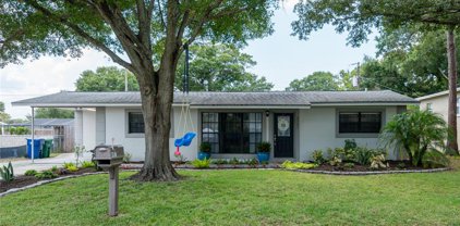4507 S Gaines Road, Tampa