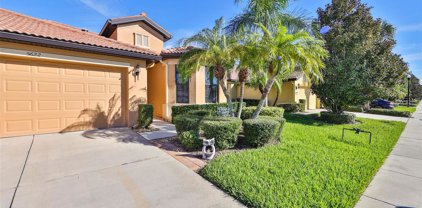 5622 Sunset Falls Drive, Apollo Beach