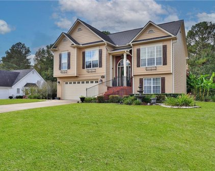 5268 Fawn Ivey Lane, Buford