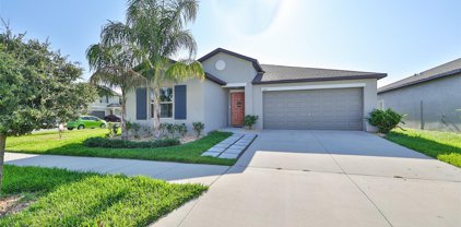 11202 Beeswing Place, Riverview