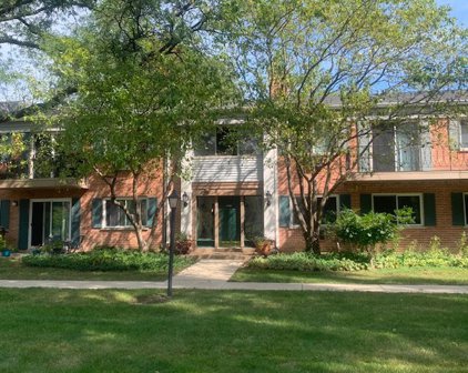 715 E Falcon Drive Unit #E109, Arlington Heights