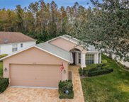 1220 Winding Willow Drive, Trinity image