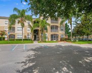 2302 Butterfly Palm Way Unit 202, Kissimmee image