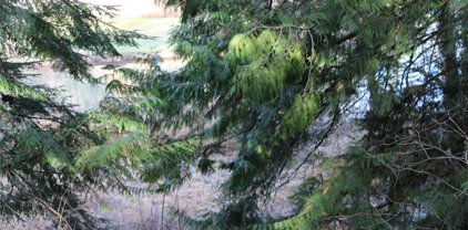 0 Lot 13 Lakeside Drive, Sedro Woolley