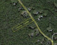 21 Finley Hill Road, Marlborough image