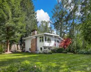 10120 212th Avenue NE, Redmond image
