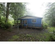 911 MATHEWS RD, Washougal image