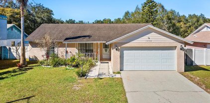 12708 Trucious Place, Tampa