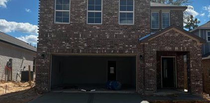 8031 Peppercorn Street, Magnolia