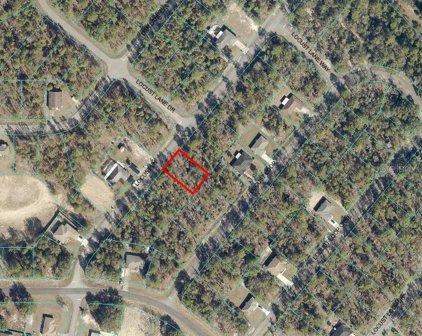 Locust Lane, Ocala