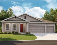 6132 Hidden Branch Drive, Apollo Beach image