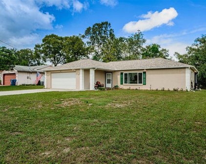10483 Abbeville Street, Spring Hill