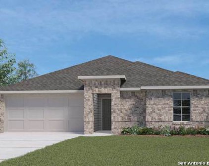 809 Indian Mallow, Seguin