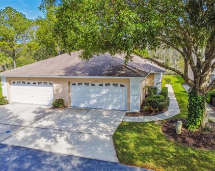 4483 Connery Court, Palm Harbor