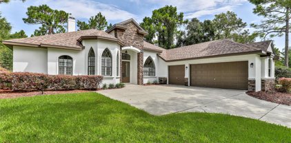 5447 Championship Cup Lane, Spring Hill
