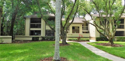 125 Woodlake Wynde, Oldsmar