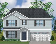 2011 Maggie Acres Rd, Lot 3, Chesnee image