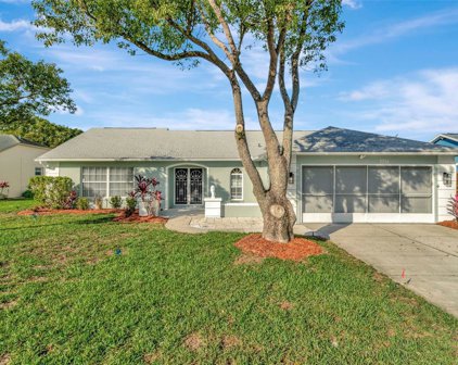7351 Ashmore Drive, New Port Richey