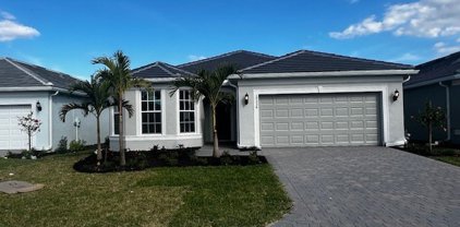 17336 Green Buttonwood Way, North Fort Myers