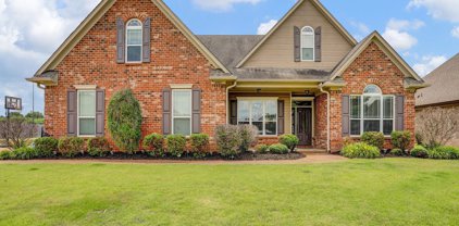 6911 W Hawks Crossing Drive, Olive Branch