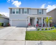 5030 Jackel Chase Drive, Wimauma image